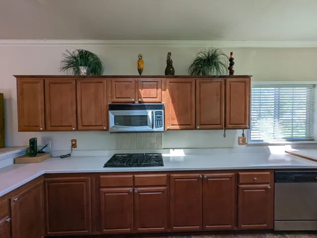 a kitchen with stainless steel appliances granite countertop a sink a microwave cabinets and a potted plant