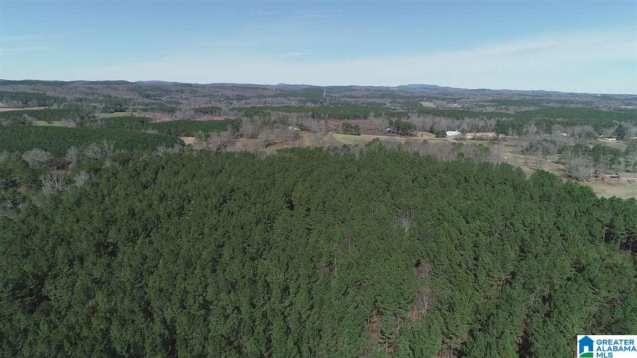 0 Baggett Road, Unit 78 / ACRES Ashland, AL 36251 - Photo 12 of 13