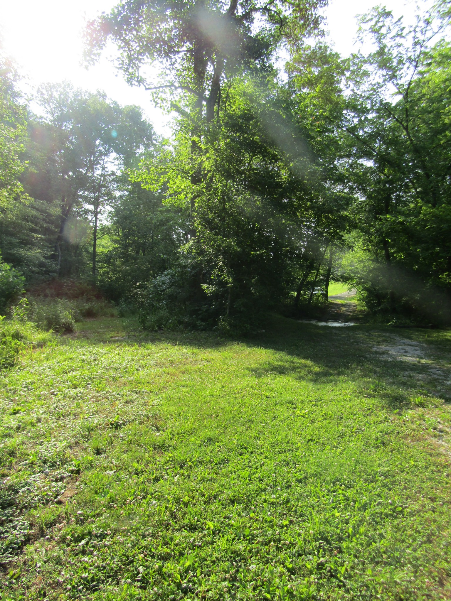96 Ed Hankins Road Erin, TN 37061 - Photo 16 of 28 Gallery Image 16