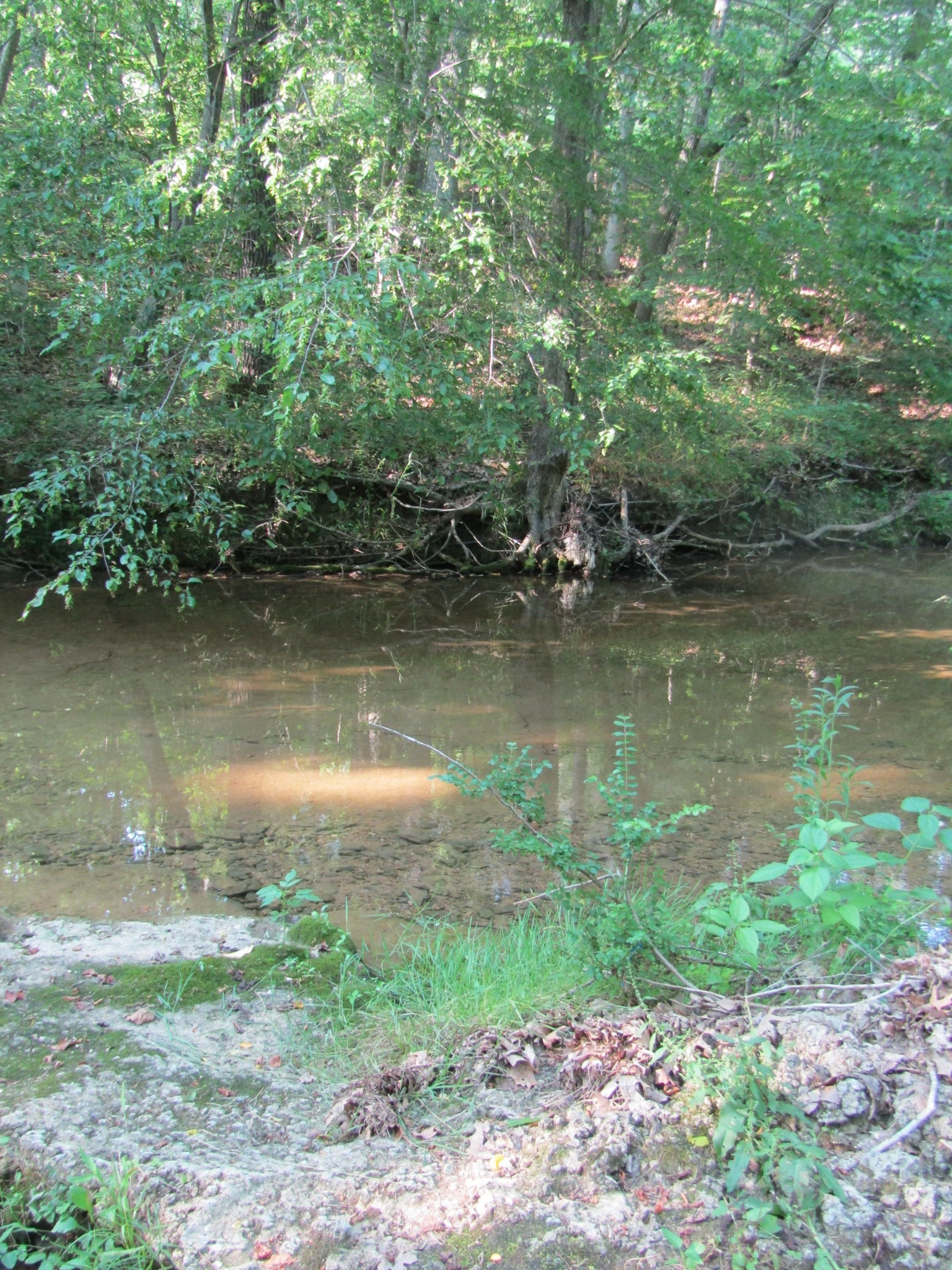 96 Ed Hankins Road Erin, TN 37061 - Photo 25 of 28 Gallery Image 25