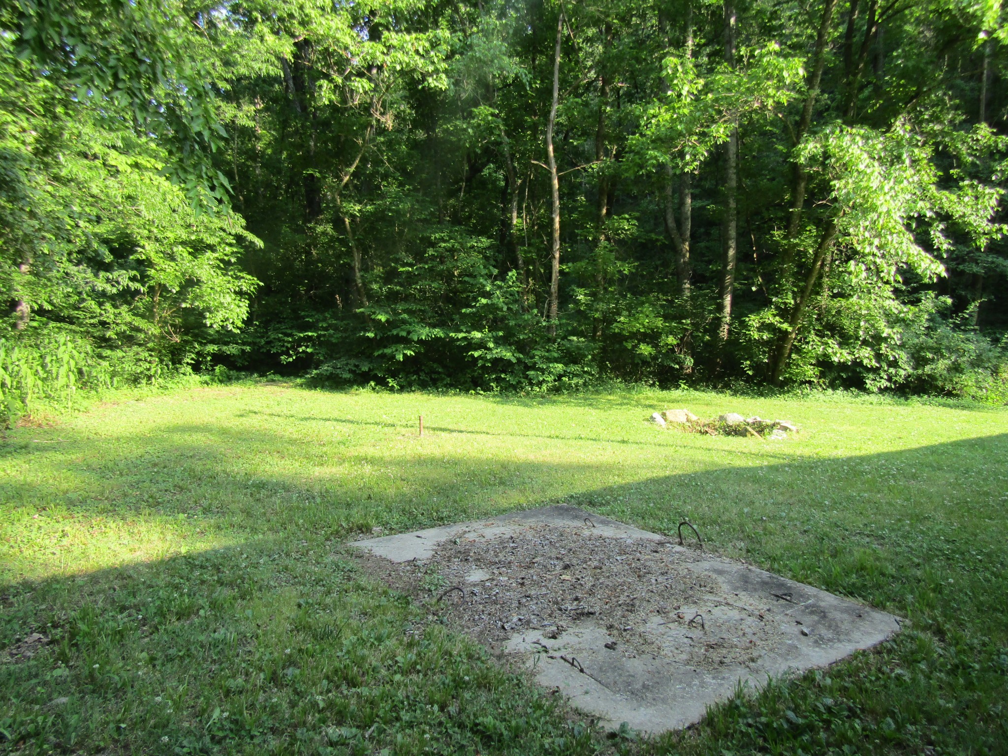 96 Ed Hankins Road Erin, TN 37061 - Photo 4 of 28 Gallery Image 4
