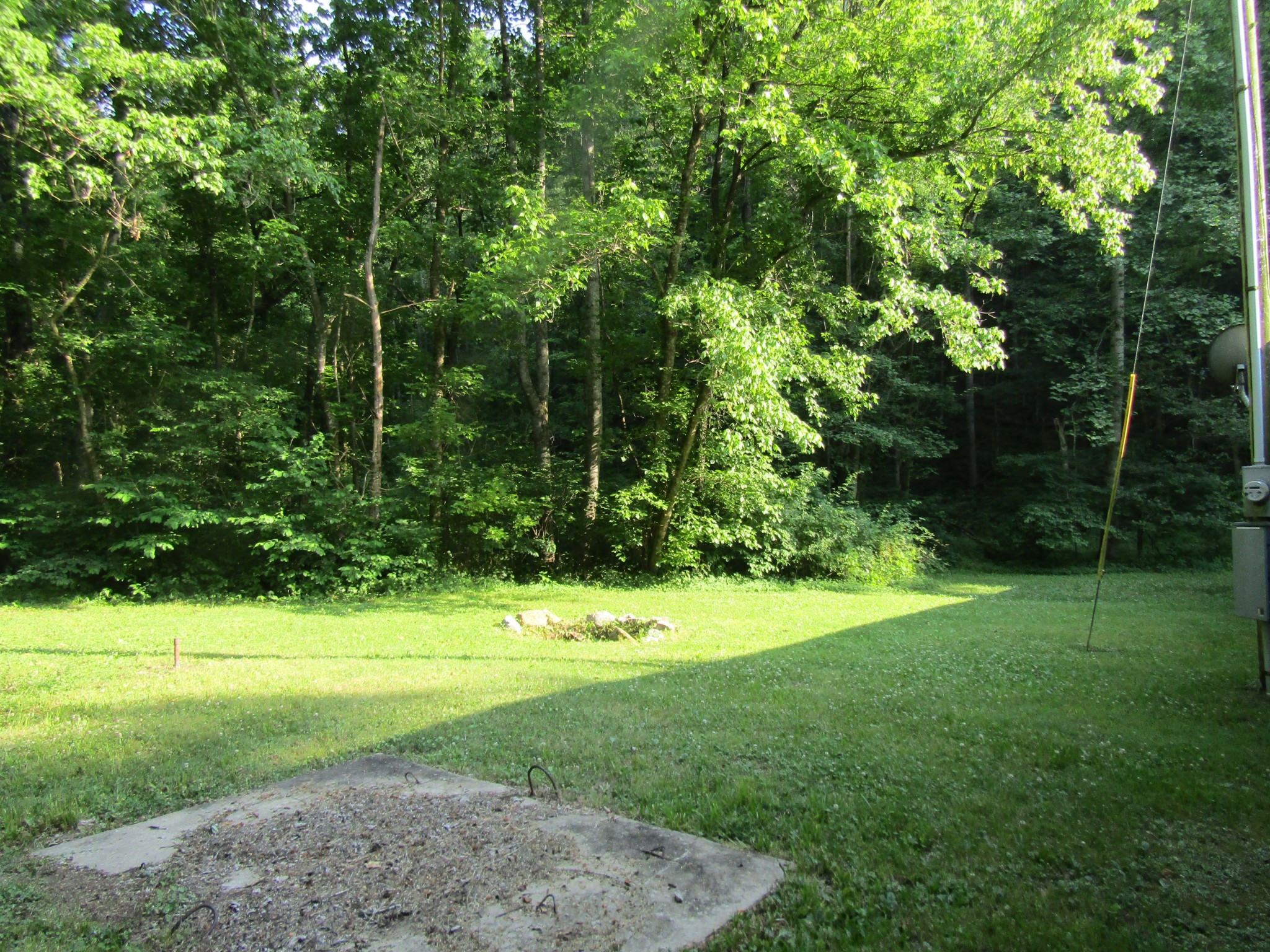 96 Ed Hankins Road Erin, TN 37061 - Photo 5 of 28 Gallery Image 5