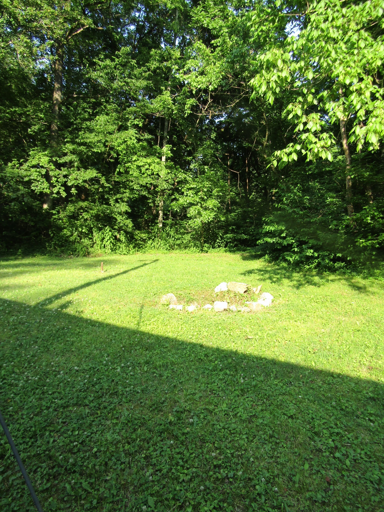 96 Ed Hankins Road Erin, TN 37061 - Photo 6 of 28 Gallery Image 6
