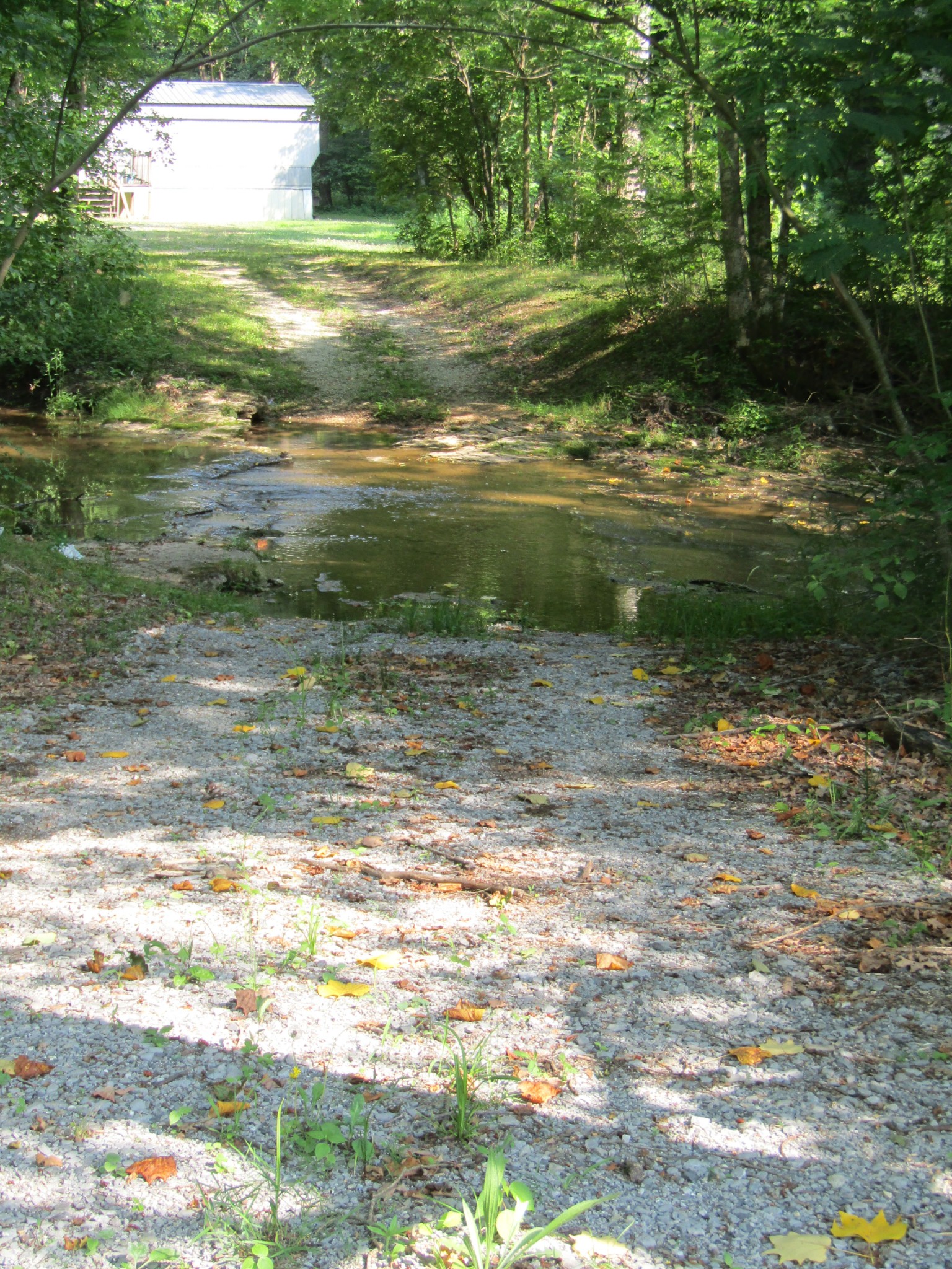 96 Ed Hankins Road Erin, TN 37061 - Photo 7 of 28 Gallery Image 7