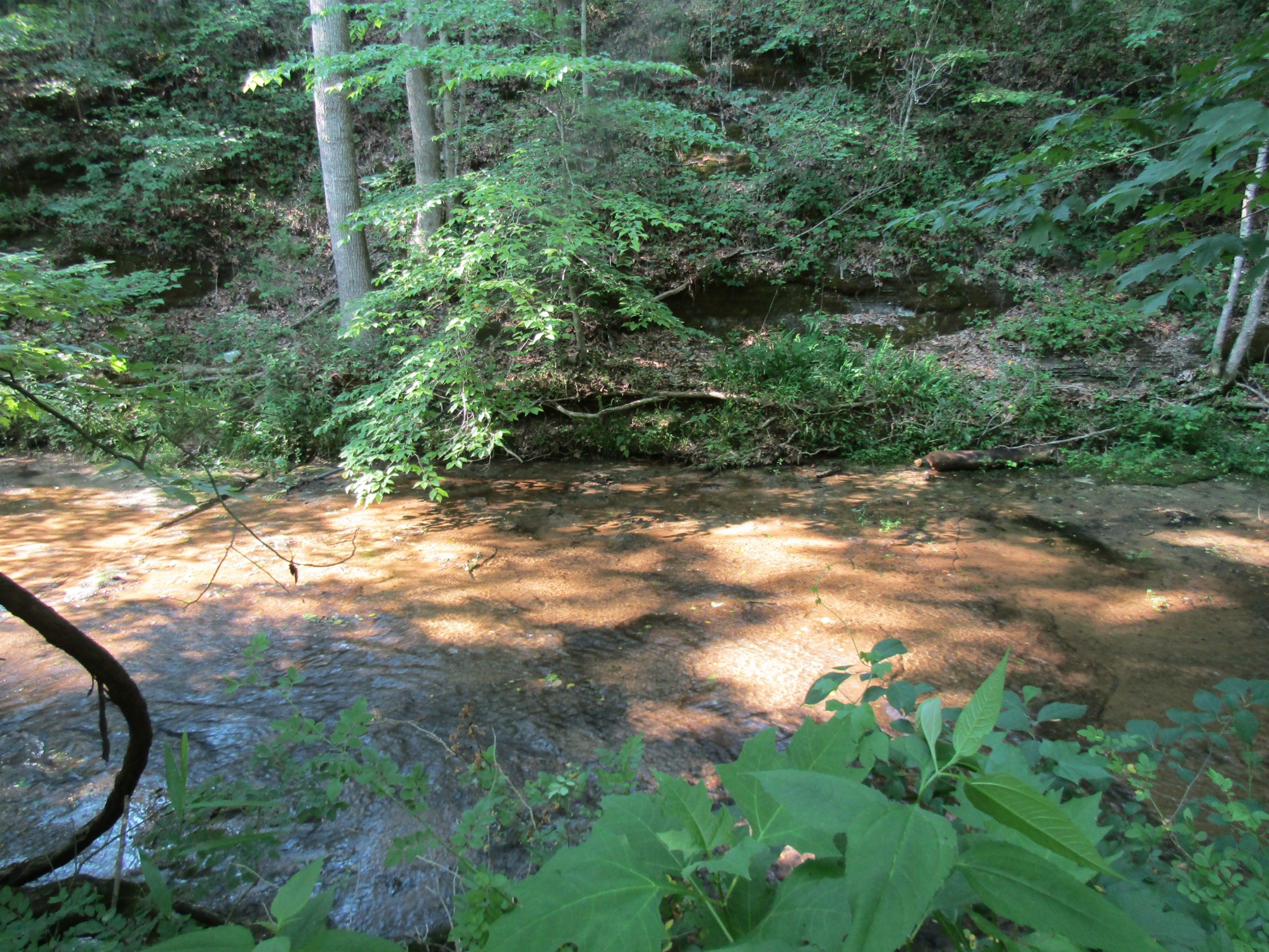 96 Ed Hankins Road Erin, TN 37061 - Photo 8 of 28 Gallery Image 8