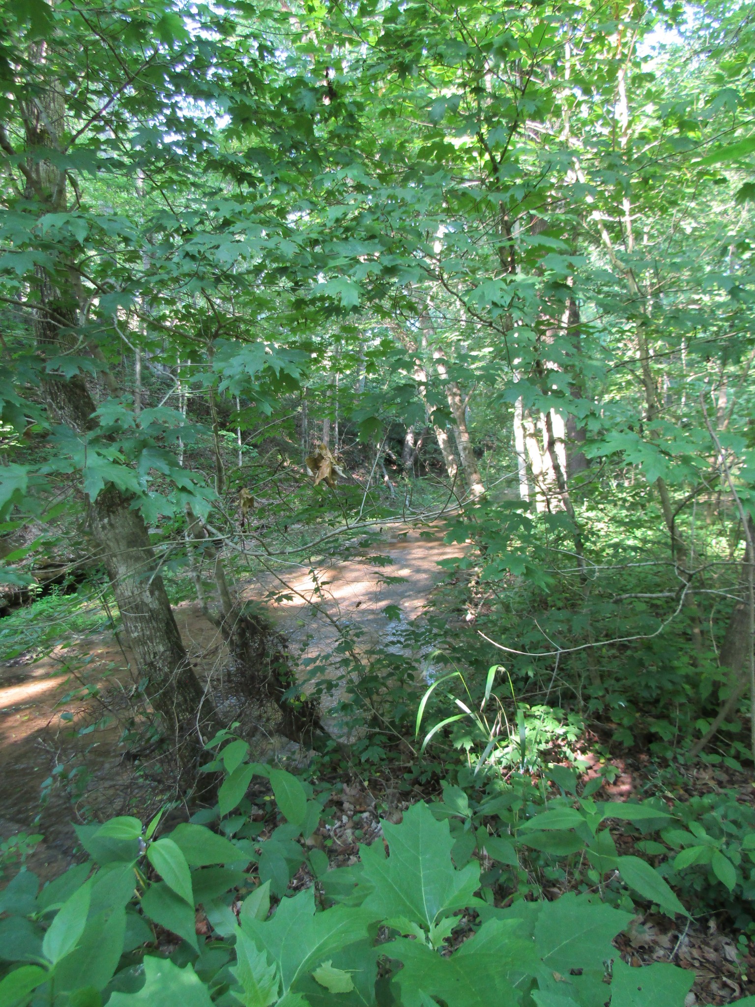 96 Ed Hankins Road Erin, TN 37061 - Photo 10 of 28 Gallery Image 10