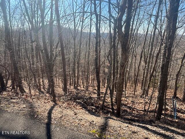 Lot 207 Laurel Mtn Road Road Madisonville, TN 37354 - Photo 1 of 5 front