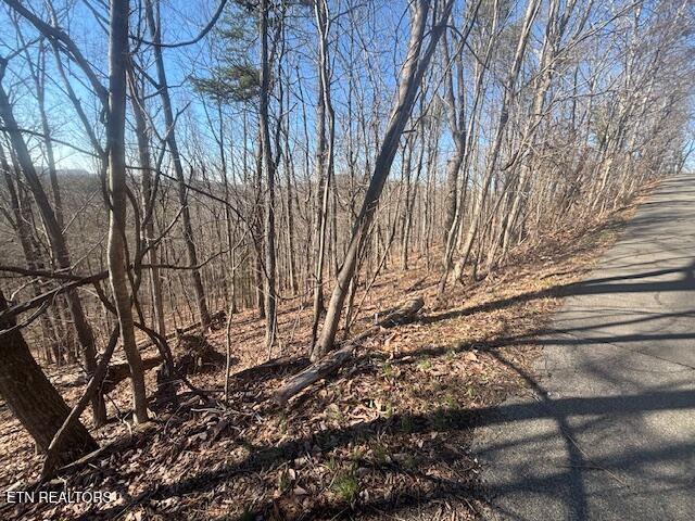 Lot 207 Laurel Mtn Road Road Madisonville, TN 37354 - Photo 2 of 5 left road view