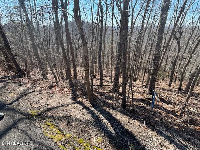 Lot 207 Laurel Mtn Road Road Madisonville, TN 37354 - Photo 3 of 5 right road view