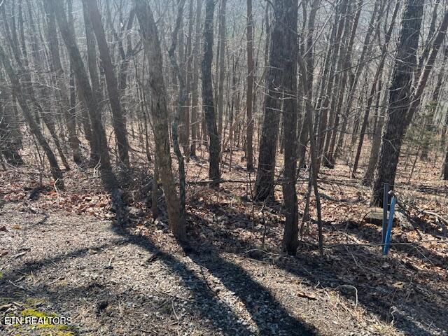 Lot 207 Laurel Mtn Road Road Madisonville, TN 37354 - Photo 4 of 5 view