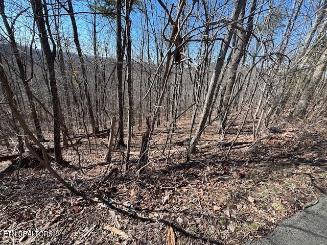 Lot 207 Laurel Mtn Road Road Madisonville, TN 37354 - Photo 5 of 5 lake view