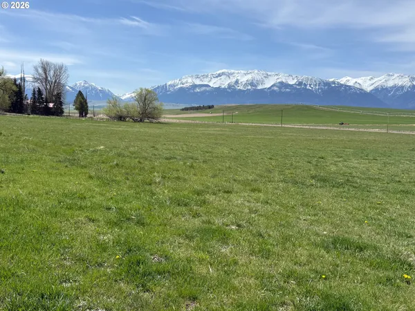 a view of a field with an ocean