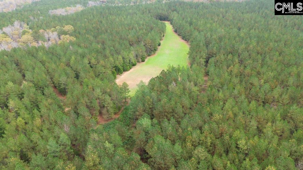 Old Cherokee Road Blair, SC 29015 - Photo 4 of 18