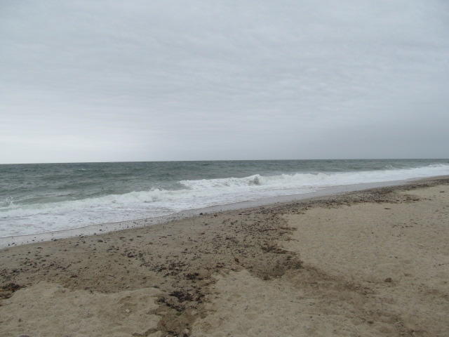 913 State Road, Unit 11 Plymouth, MA 02360 - Photo 11 of 14 IMG_0161
