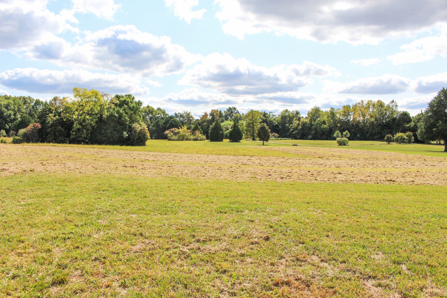 7204 North Lamar Road Mount Juliet, TN 37122 - Photo 40 of 43 Gallery Image 40