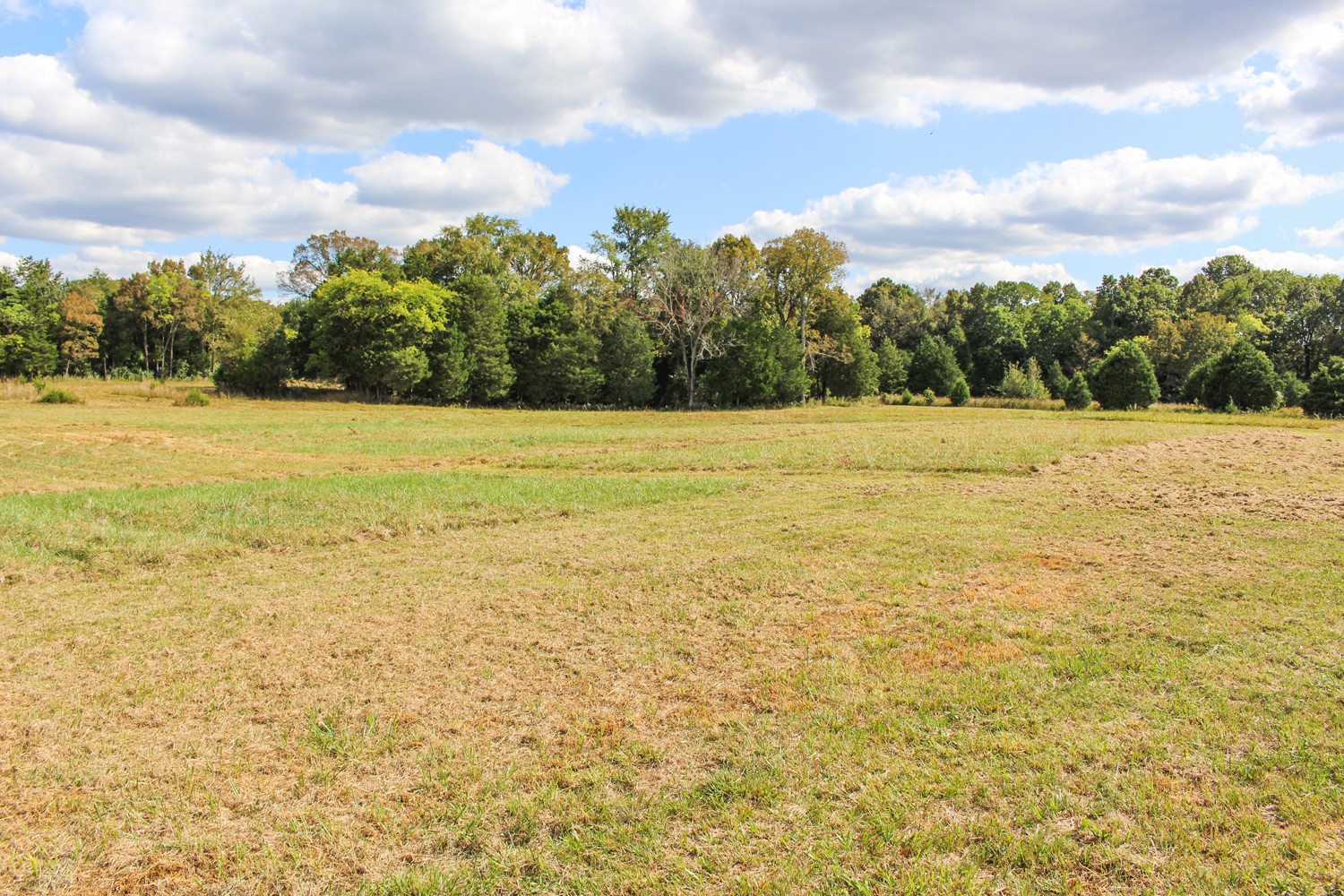 7204 North Lamar Road Mount Juliet, TN 37122 - Photo 41 of 43 Gallery Image 41