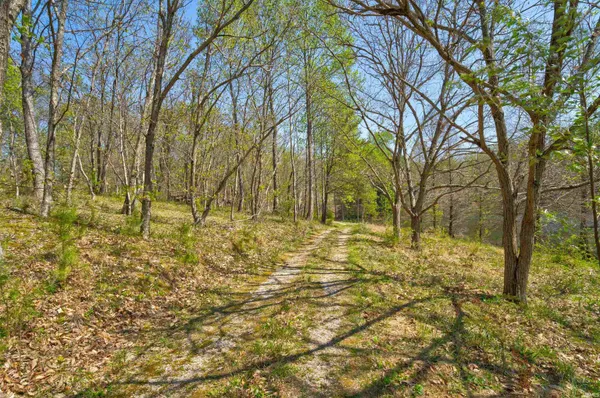 $550,000 | 10227 Lorainne Road, Leopold, IN 47551