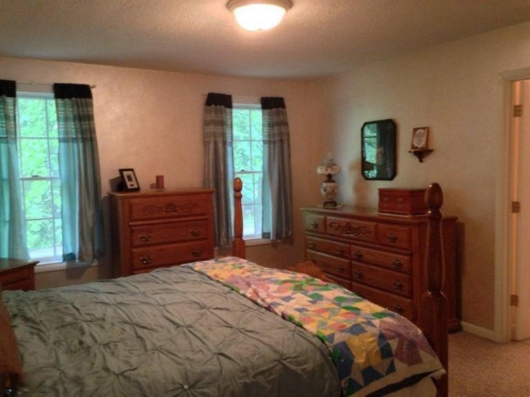 9504 Macarthur Road Saranac, MI 48881 - Photo 13 of 24 Additional Photo