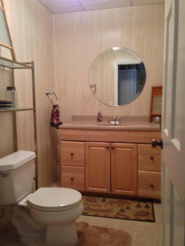 9504 Macarthur Road Saranac, MI 48881 - Photo 20 of 24 Additional Photo