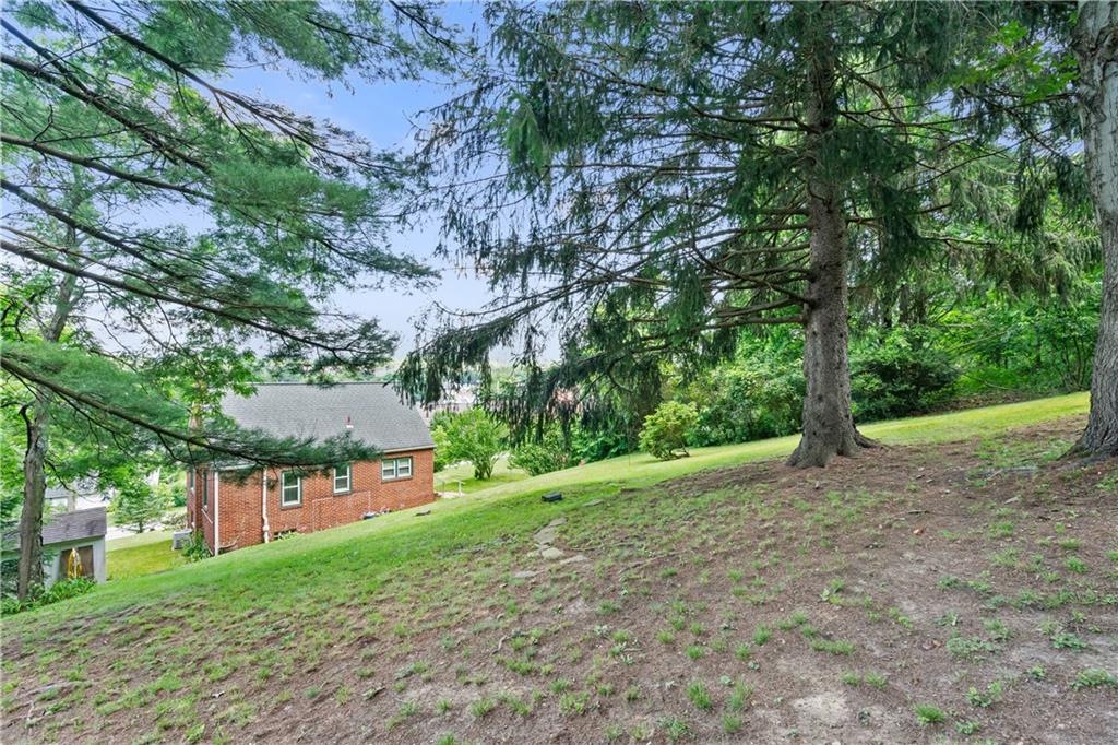 2509 Kane Road Aliquippa, PA 15001 - Photo 27 of 27 a view of a yard with plants and trees
