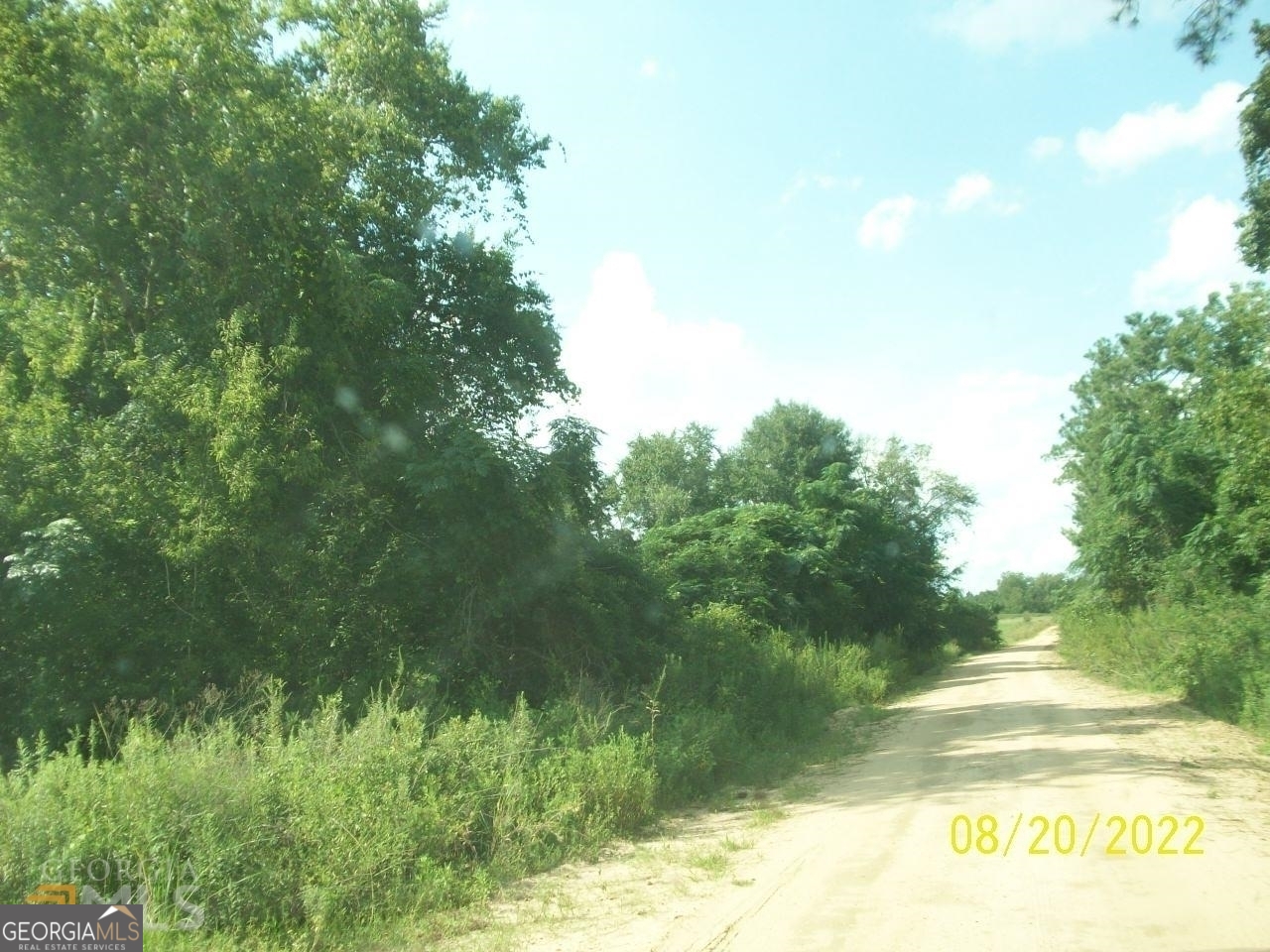 650 Tom Howard Farm Road Vienna, GA 31092 - Photo 4 of 13 a view of a lush green space with sea