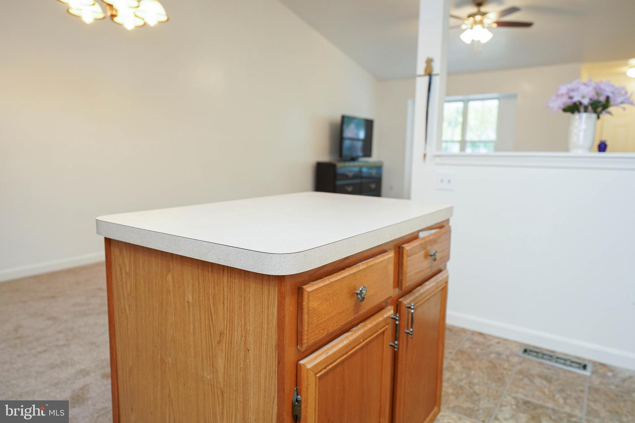 140 Sandyhook Road Berlin, MD 21811 - Photo 22 of 47