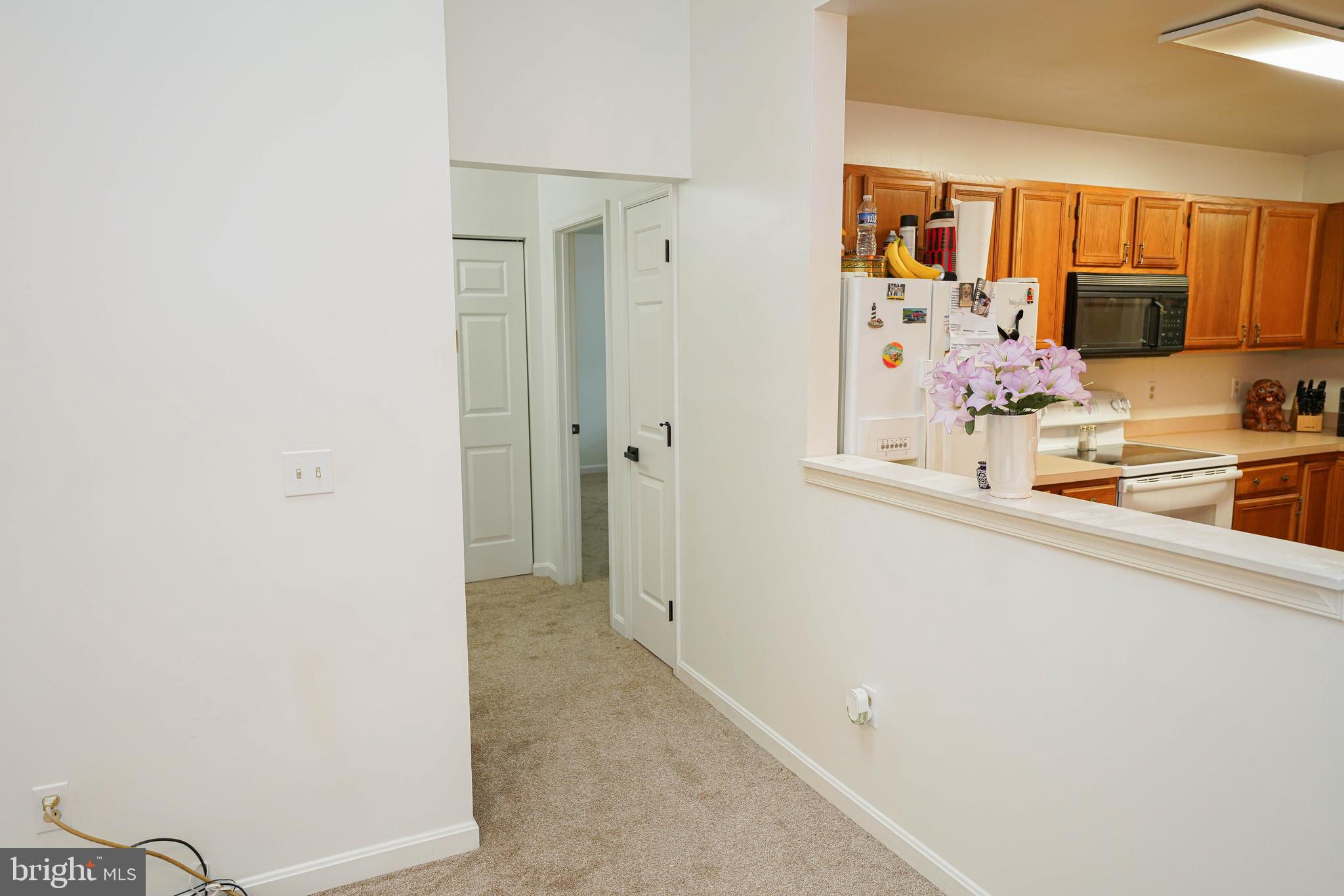140 Sandyhook Road Berlin, MD 21811 - Photo 23 of 47