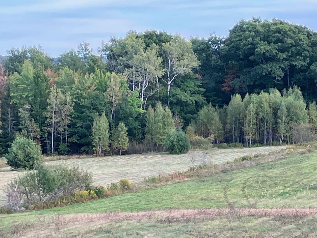 1018 Main Street Meddybemps, ME 04657 - Photo 15 of 24 14