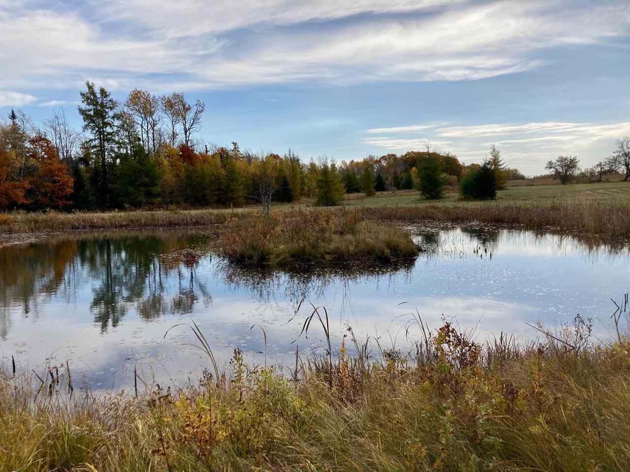 1018 Main Street Meddybemps, ME 04657 - Photo 16 of 24 15