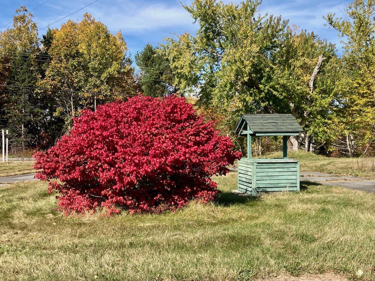 1018 Main Street Meddybemps, ME 04657 - Photo 20 of 24 19