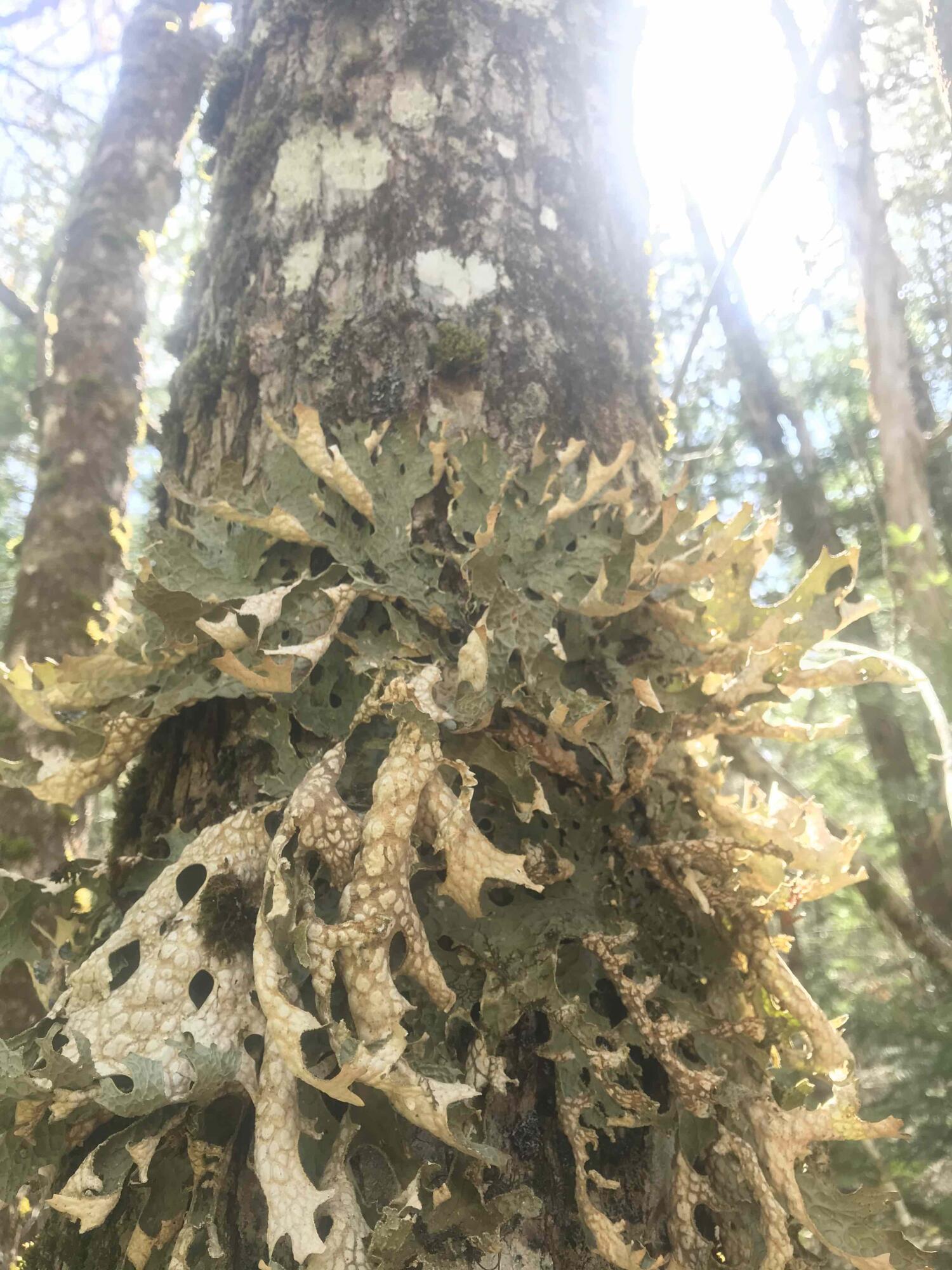 1018 Main Street Meddybemps, ME 04657 - Photo 21 of 24 20