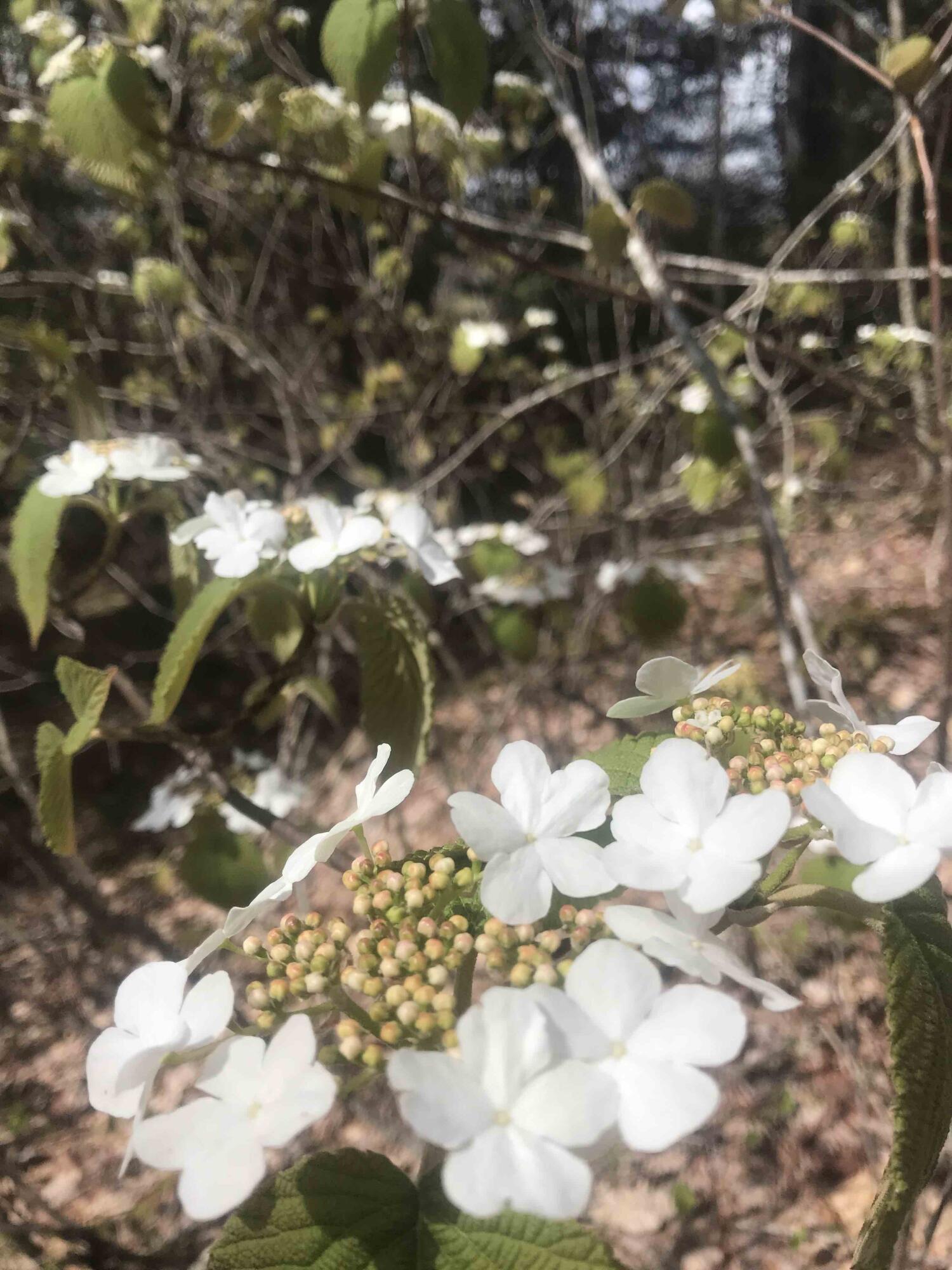 1018 Main Street Meddybemps, ME 04657 - Photo 22 of 24 21