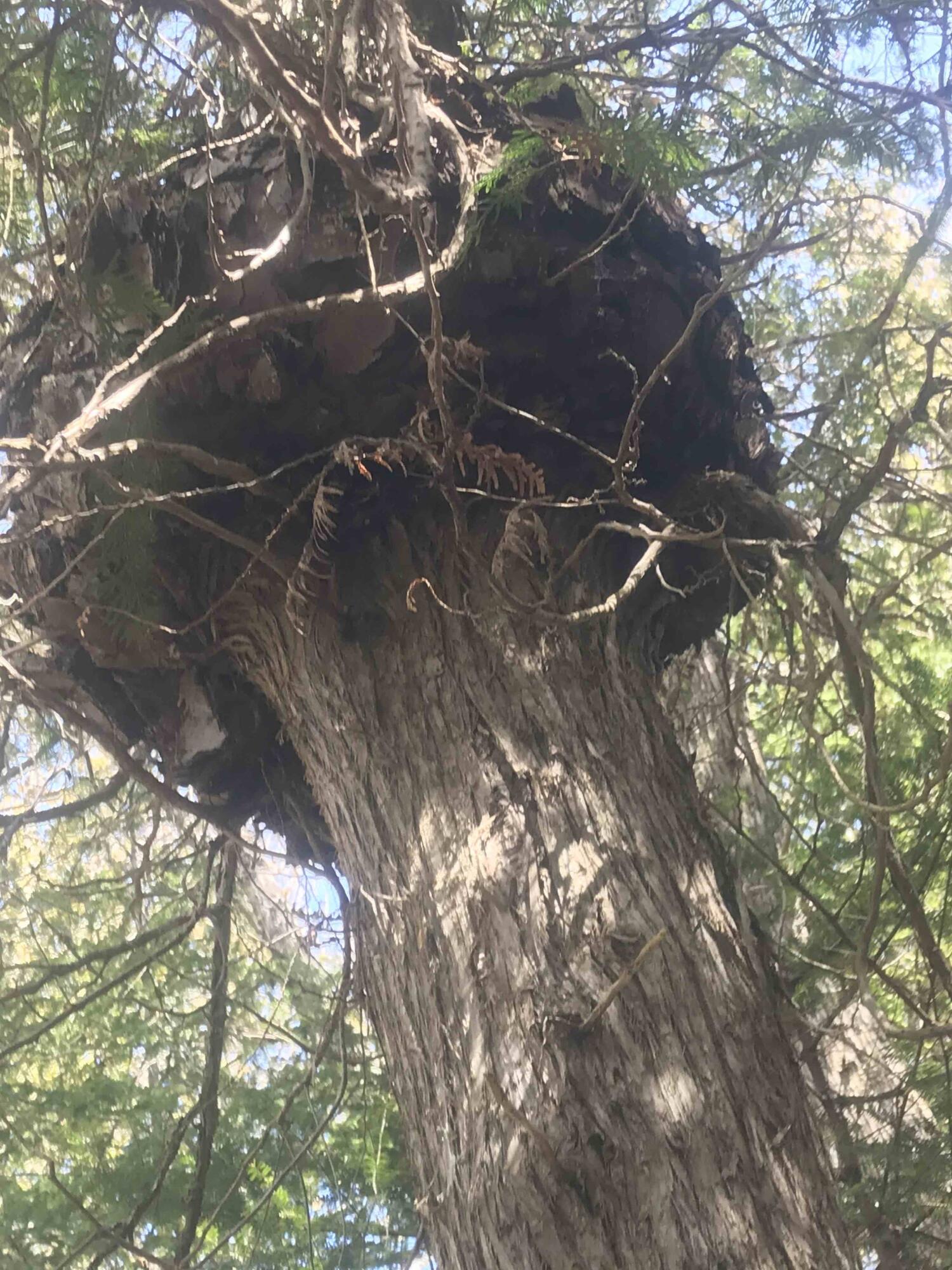 1018 Main Street Meddybemps, ME 04657 - Photo 23 of 24 22