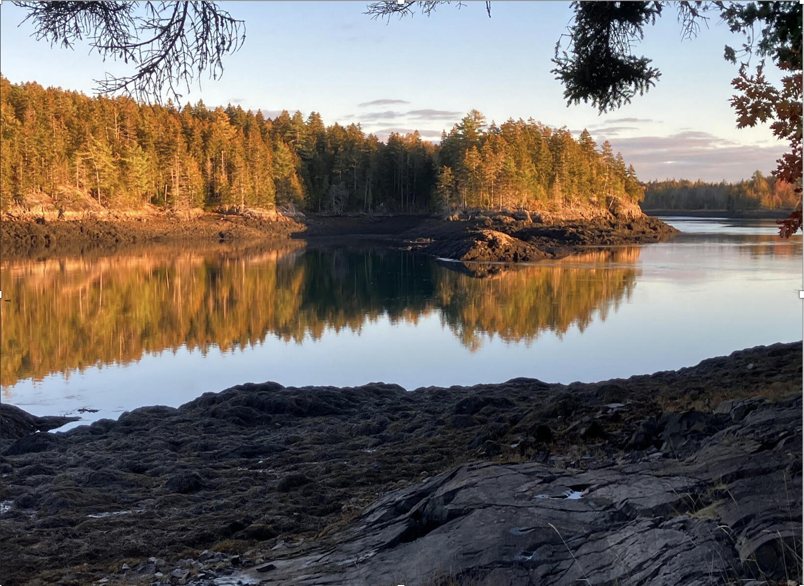 1018 Main Street Meddybemps, ME 04657 - Photo 24 of 24 23