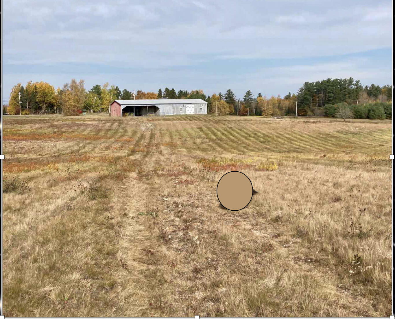 1018 Main Street Meddybemps, ME 04657 - Photo 4 of 24 03