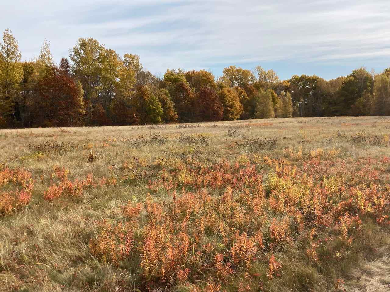 1018 Main Street Meddybemps, ME 04657 - Photo 6 of 24 05