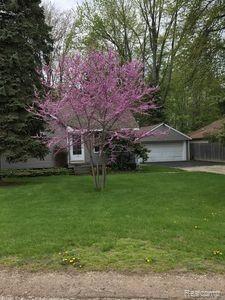 46275 Sugarbush Road Chesterfield, MI 48047 - Photo 1 of 20