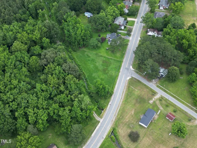 a view of a garden with large trees