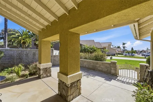 a view of a tree in a garden