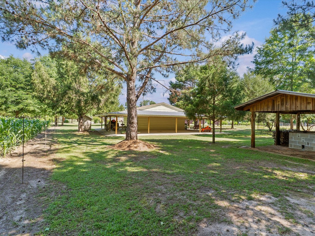 32724 Bozeman Road Dozier, AL 36028 - Photo 8 of 59