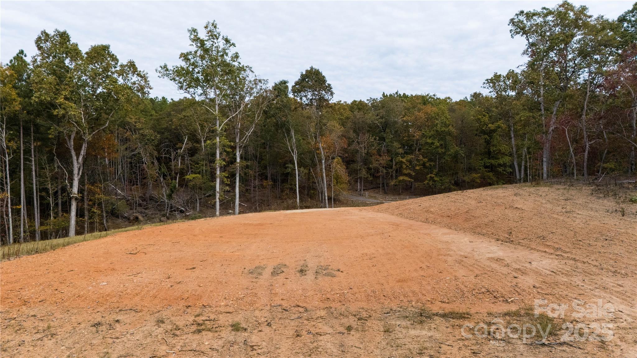 0 Franciscan Lane Rutherfordton, NC 28139 - Photo 1 of 13 a view of large trees with a big yard