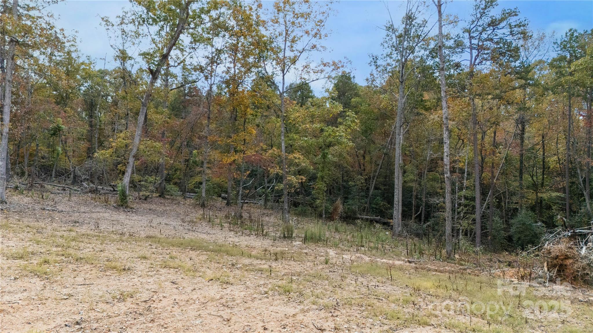 0 Franciscan Lane Rutherfordton, NC 28139 - Photo 13 of 13 a view of forest