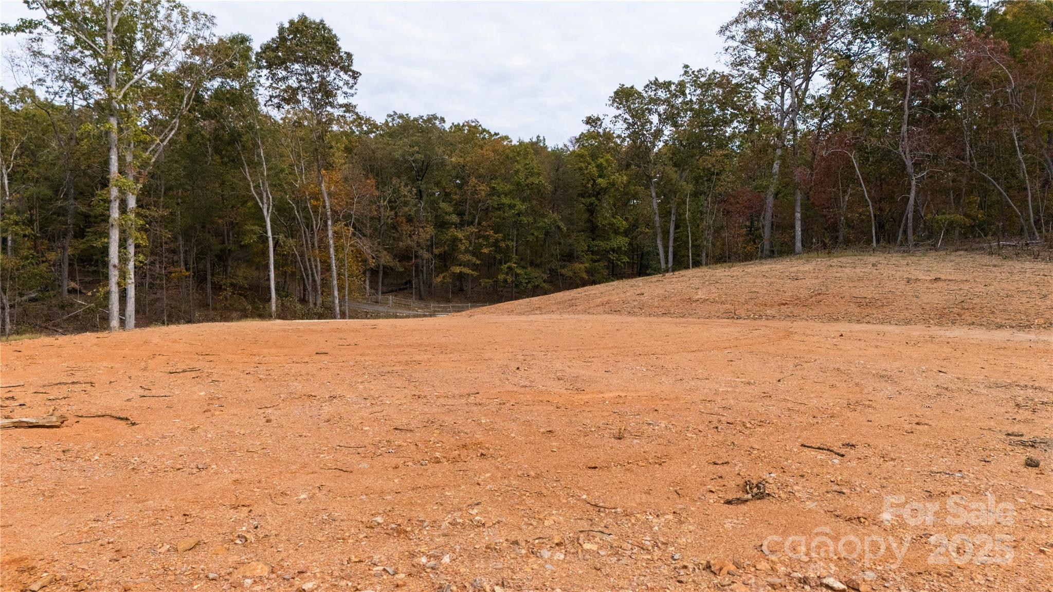 0 Franciscan Lane Rutherfordton, NC 28139 - Photo 3 of 13