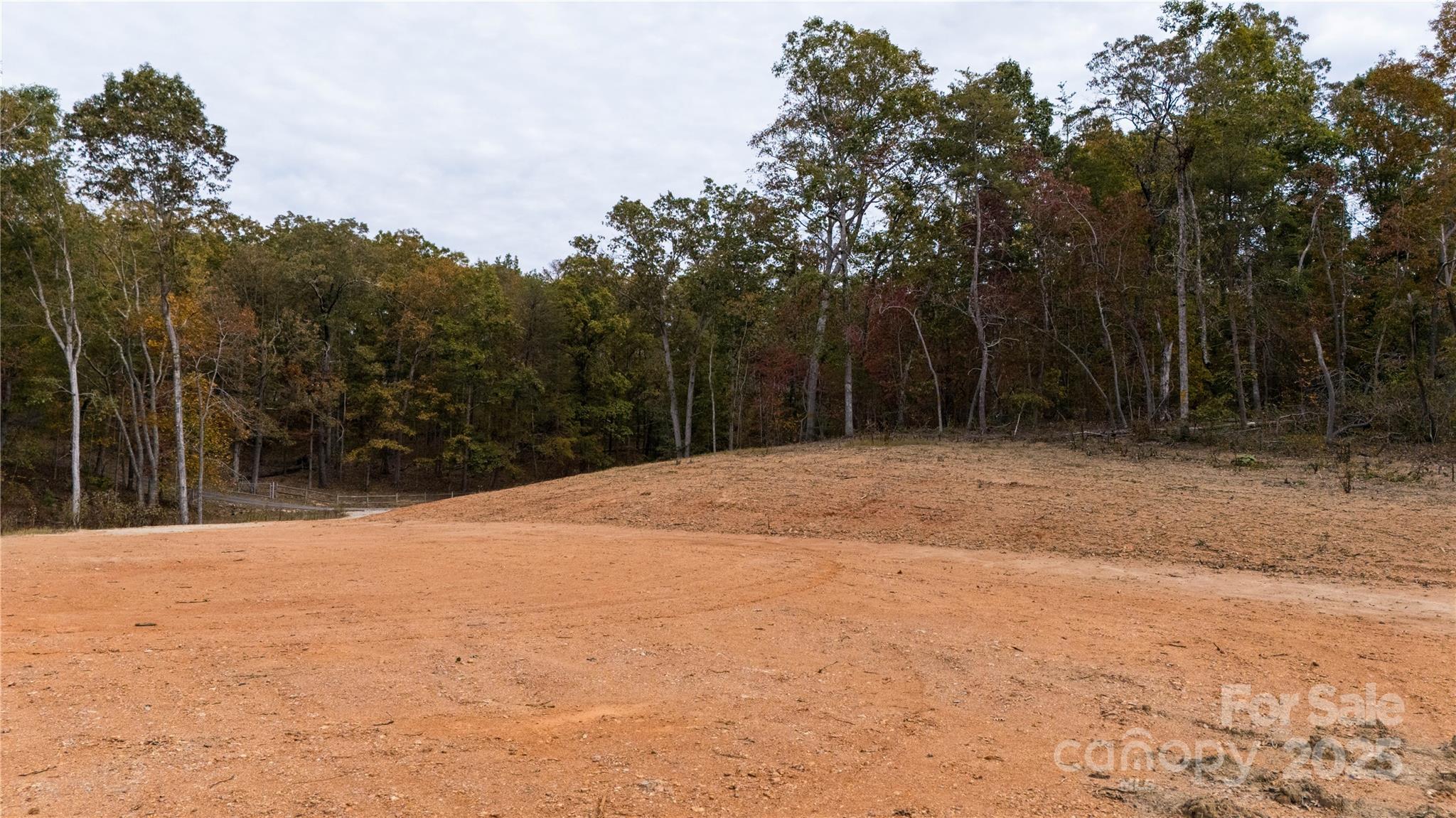 0 Franciscan Lane Rutherfordton, NC 28139 - Photo 8 of 13 a view of backyard with green space