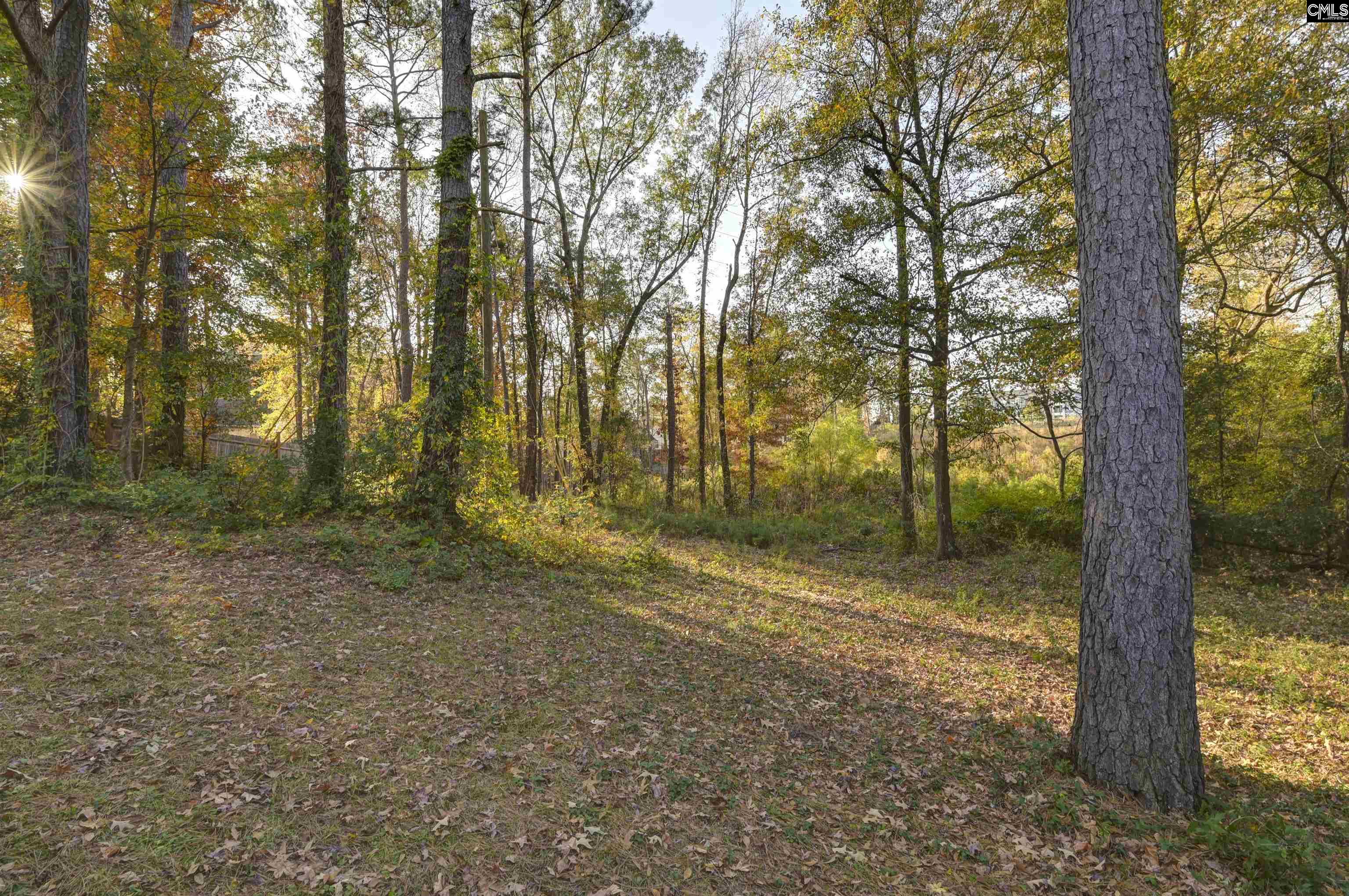 100 Woodspur Road Irmo, SC 29063 - Photo 3 of 38