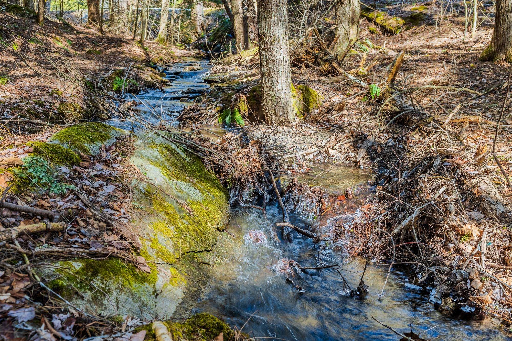 5209 Willard Road Quechee, VT 05059 - Photo 4 of 12