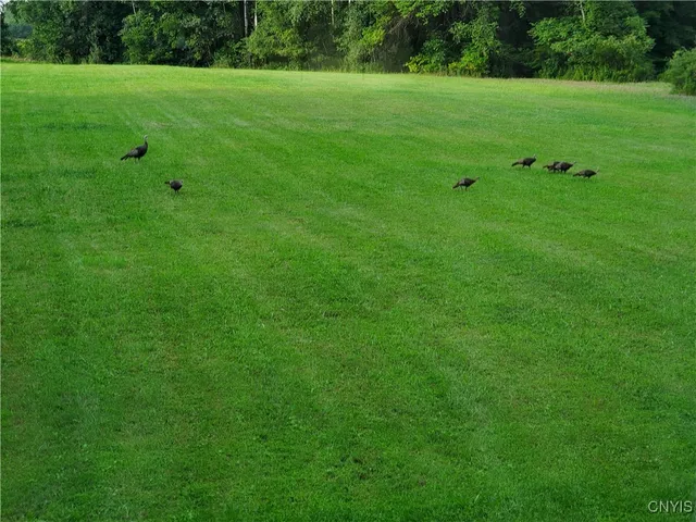 $189,900 | Hogback Road, Red Creek, NY 13143