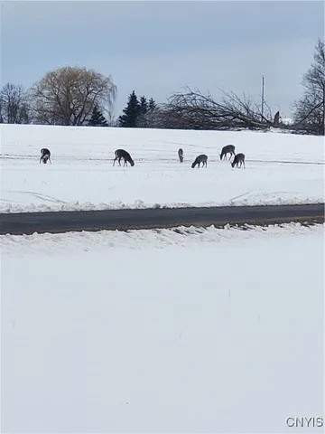 $189,900 | Hogback Road, Red Creek, NY 13143