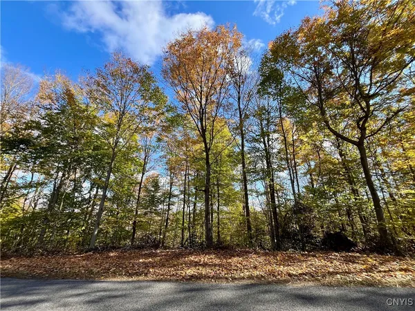 $189,900 | Hogback Road, Red Creek, NY 13143