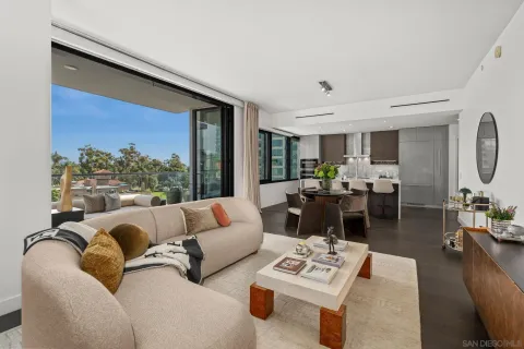 a living room with furniture potted plant and a large window